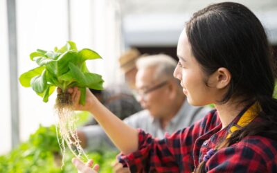 Bidang Agribisnis Menjadi Peluang Bisnis yang Menjanjikan di Era Pandemi