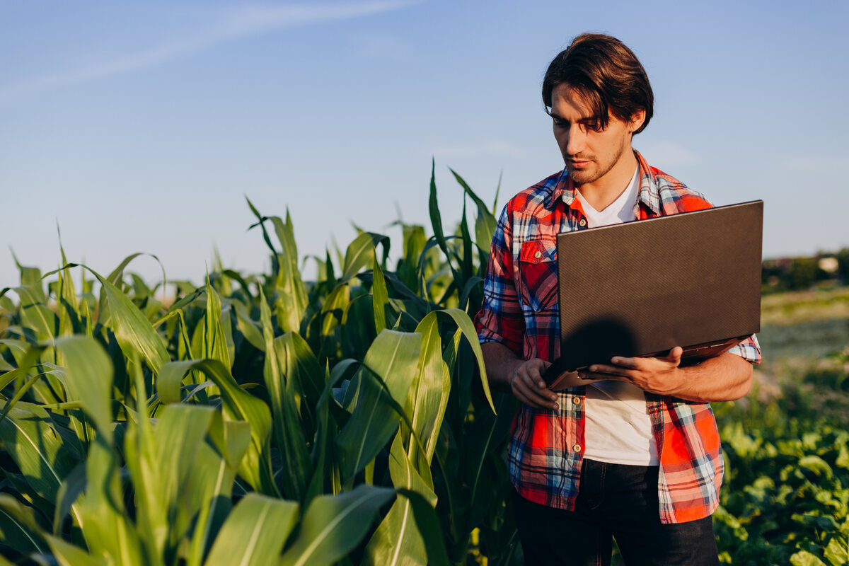 Strategi Digitalisasi Pelatihan Pertanian Berbasis Online