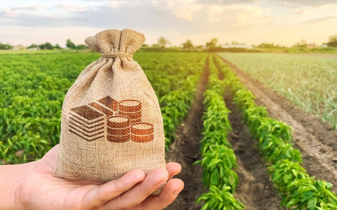 Ekonomi Agrikultur: Pengertian, Contoh, dan Cara Mengoptimalkannya