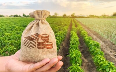 Ekonomi Agrikultur: Pengertian, Contoh, dan Cara Mengoptimalkannya